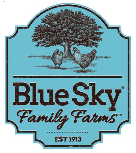 BlueSky Logo