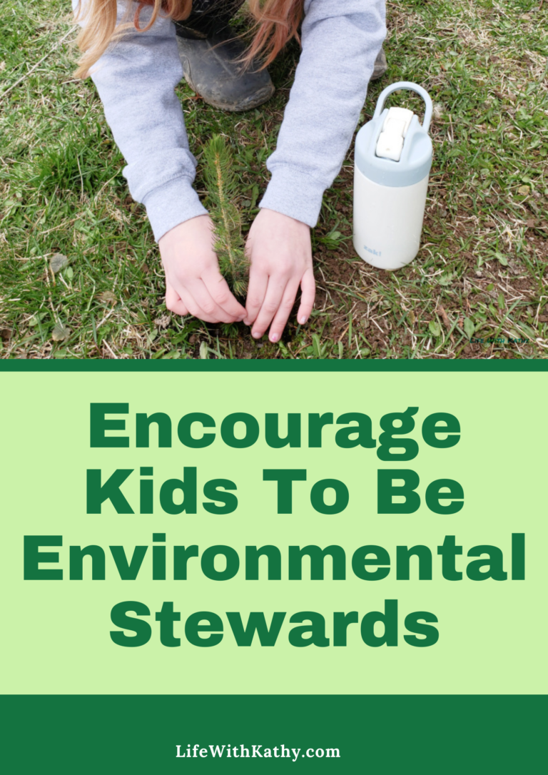 Encourage Kids To Be Environmental Stewards - Life With Kathy