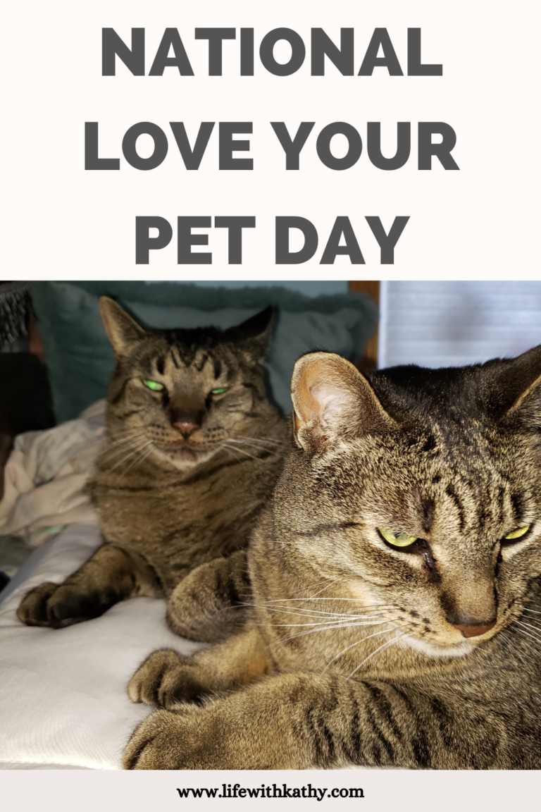 National Love Your Pet Day - Life With Kathy